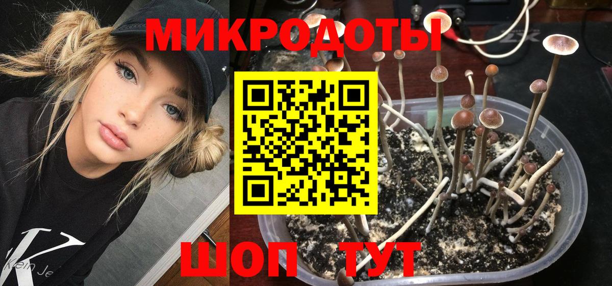 Псилоцибиновые грибы Psilocybe  Вход с VPN  Архангельск  Псилоцибиновые грибы Magic Shrooms 